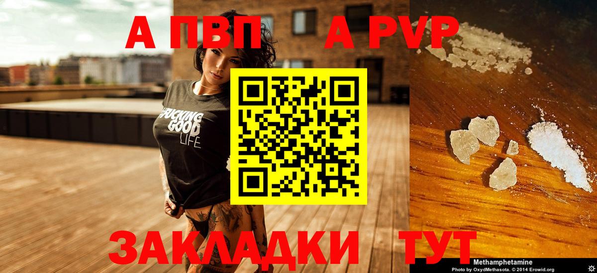 A PVP СК КРИС Саранск