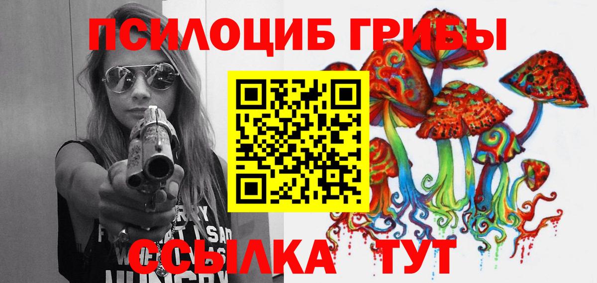 Саранск  где купить наркоту  Вход с VPN  Псилоцибиновые грибы Cubensis 