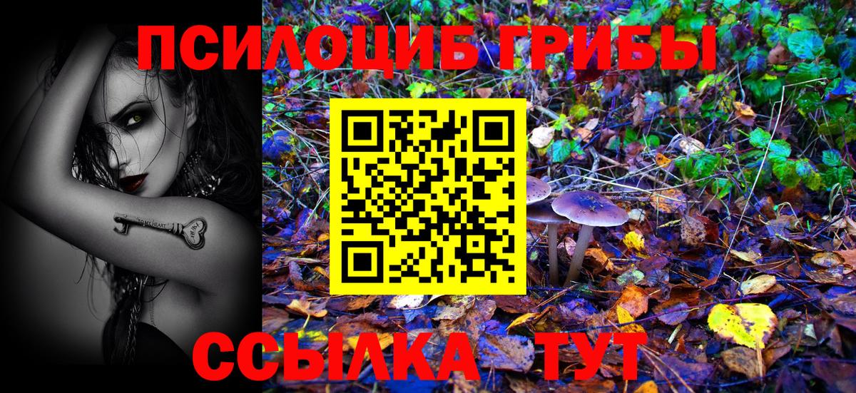 Псилоцибиновые грибы Cubensis Саранск